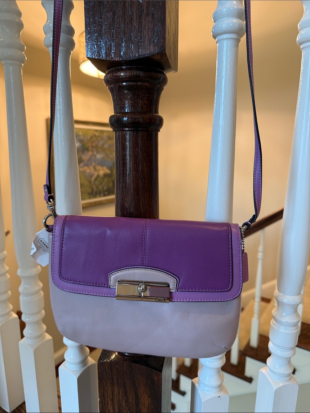 Coach - Two-Tone Purple & Lilac Crossbody Bag - Women Bags
